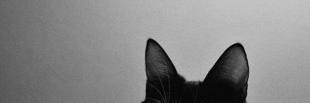 _PrizzZ's profile banner image