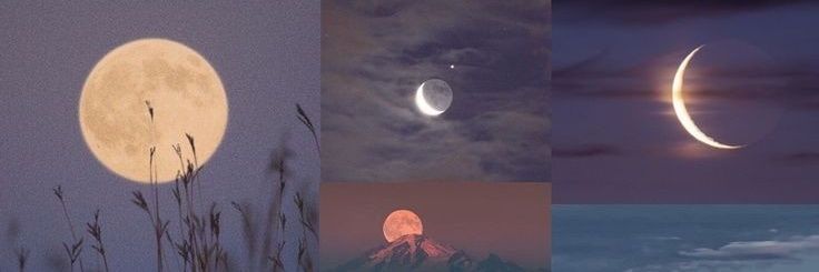 AMVP26's profile banner image