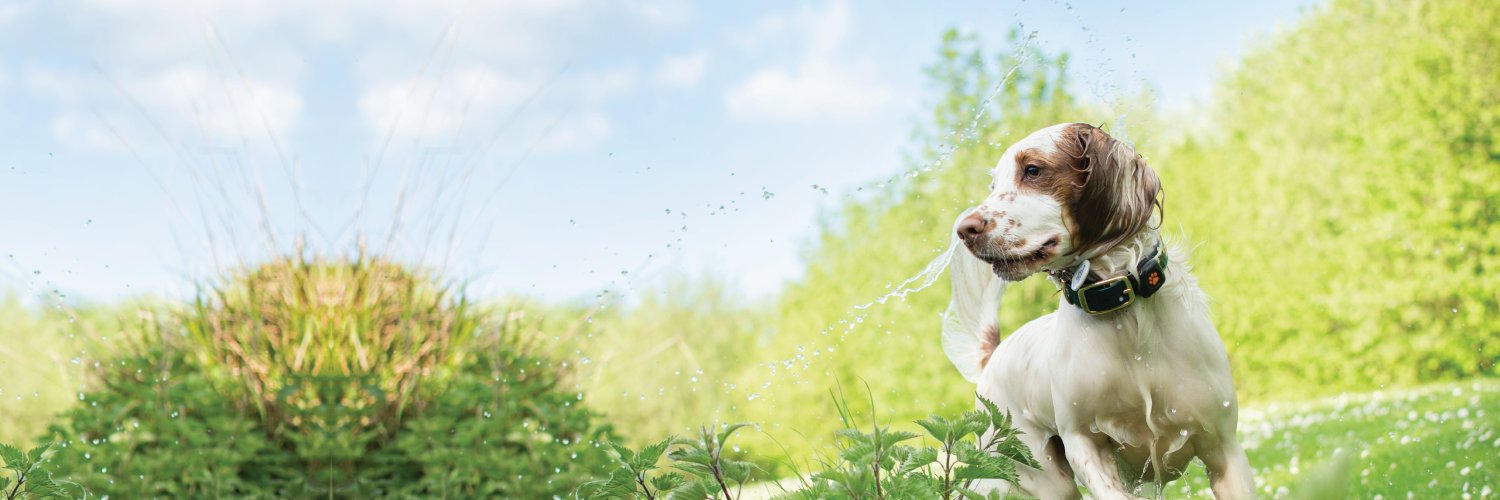 PitPatPet's profile banner image