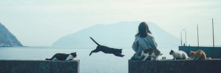parestezi's profile banner image
