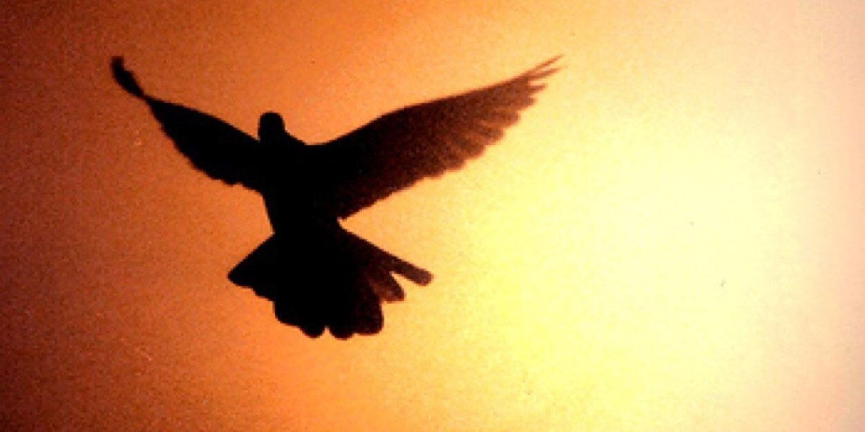 afg_22's profile banner image