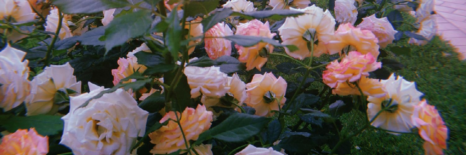 antopunti's profile banner image