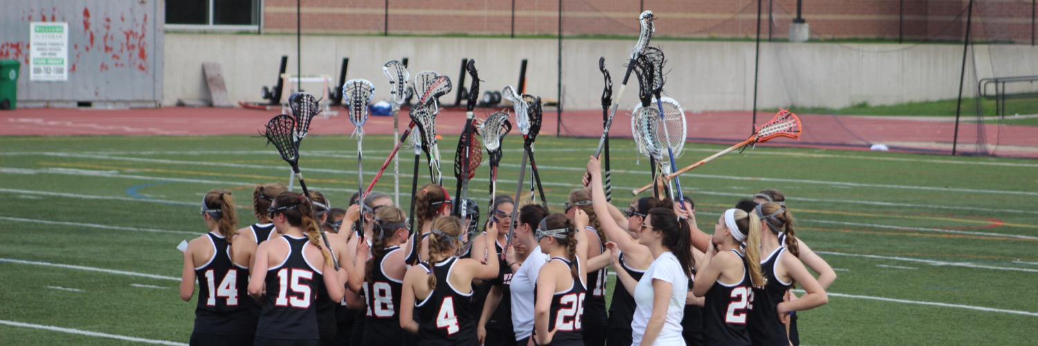 Wellesley Girls Lax banner