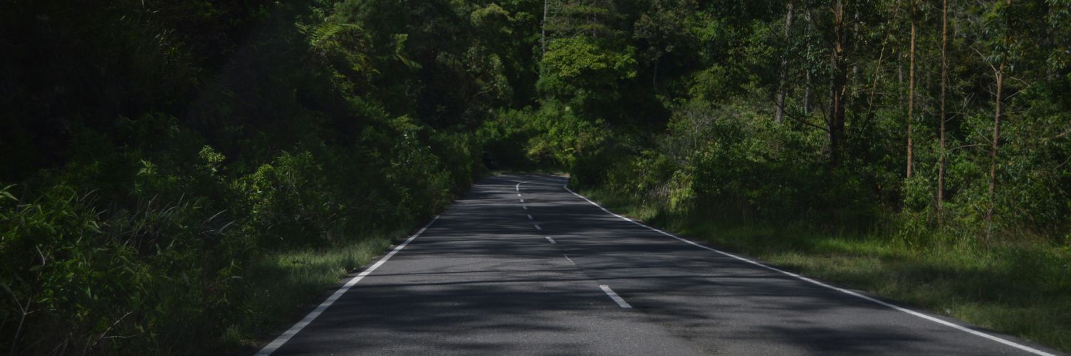 viinsxz's profile banner image
