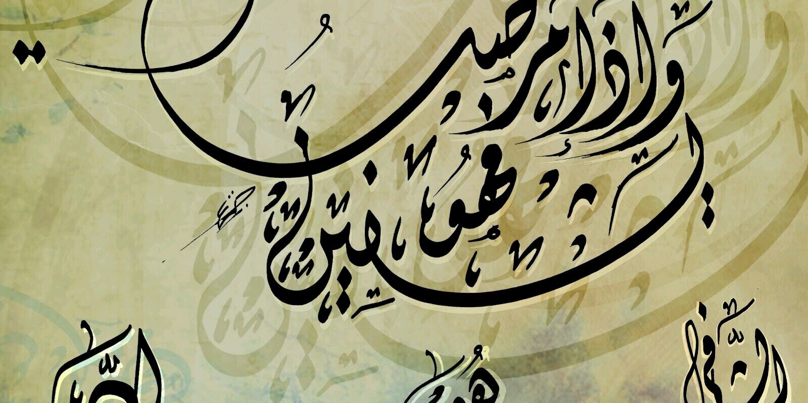 nhy20008's profile banner image