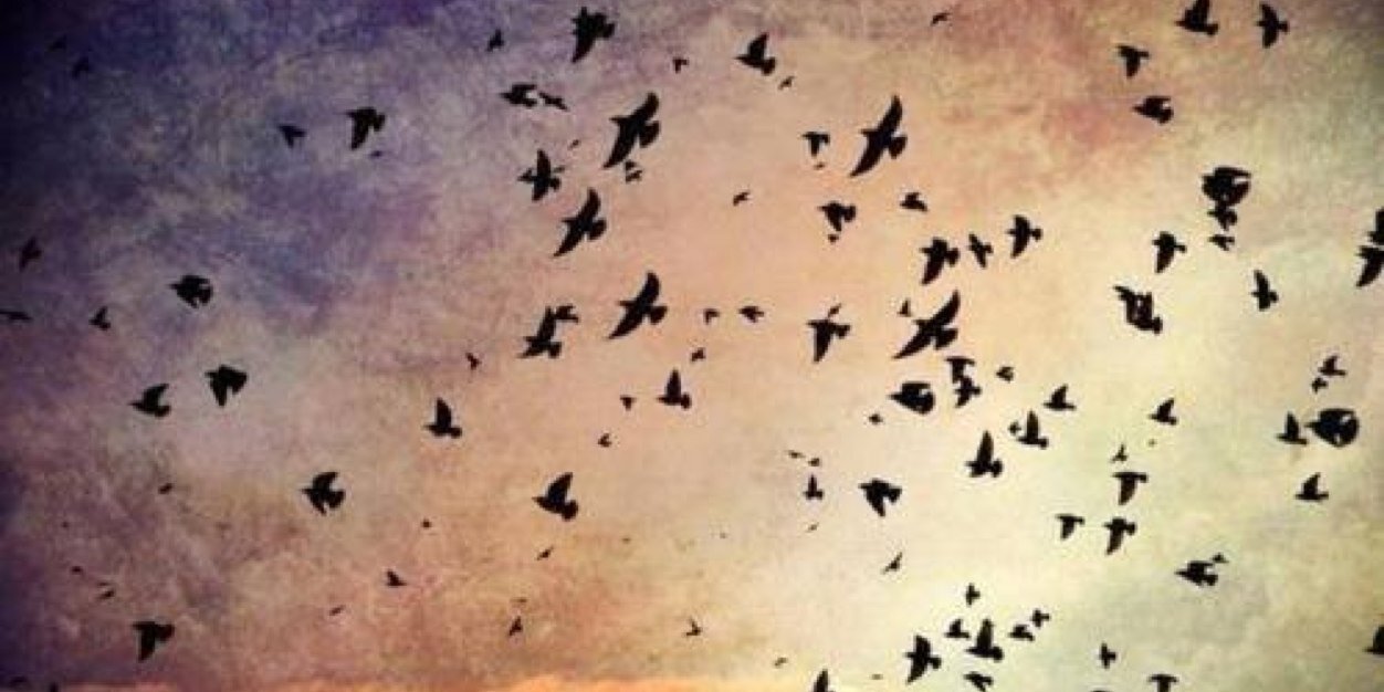 oh_jmsl's profile banner image