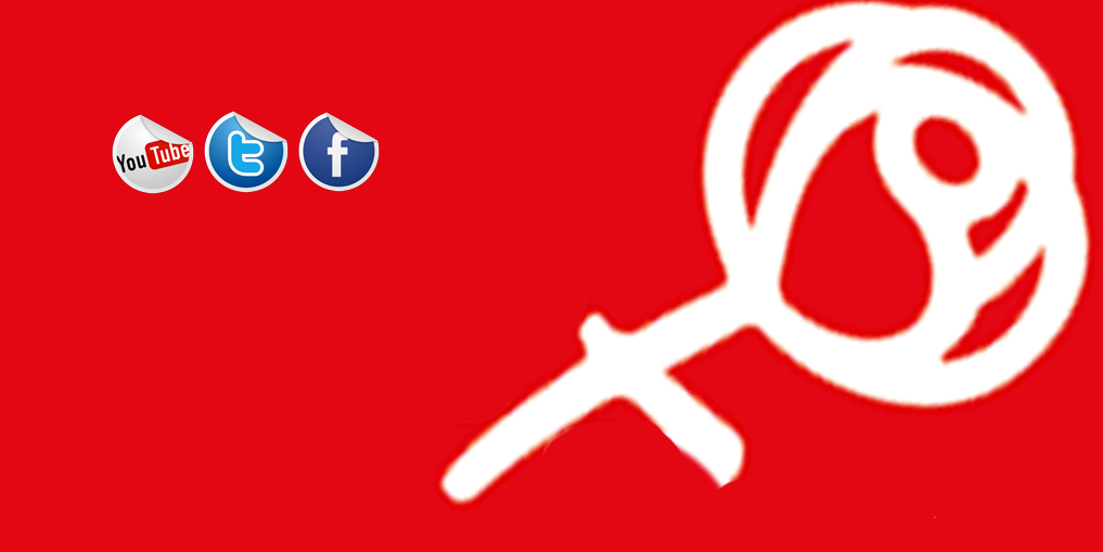 PSPV-PSOE Silla banner