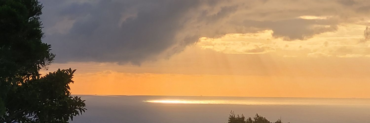 Jason Strecker banner