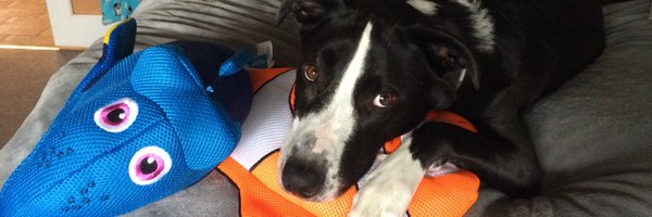 NateHups Profile Banner