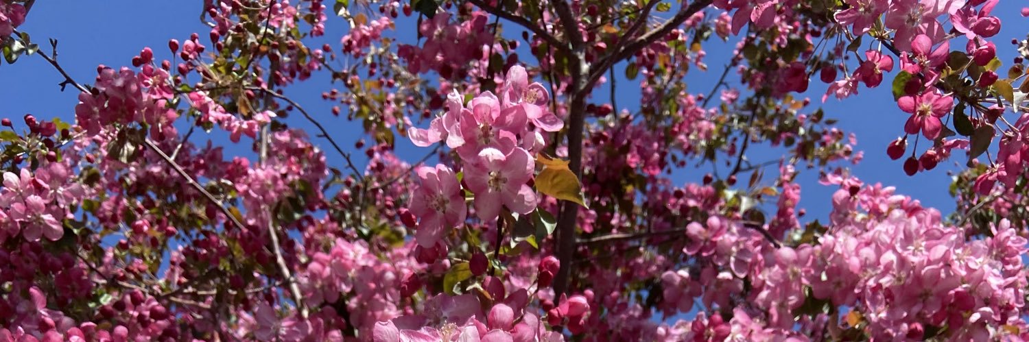 ghostie 👻🦋🍂 banner