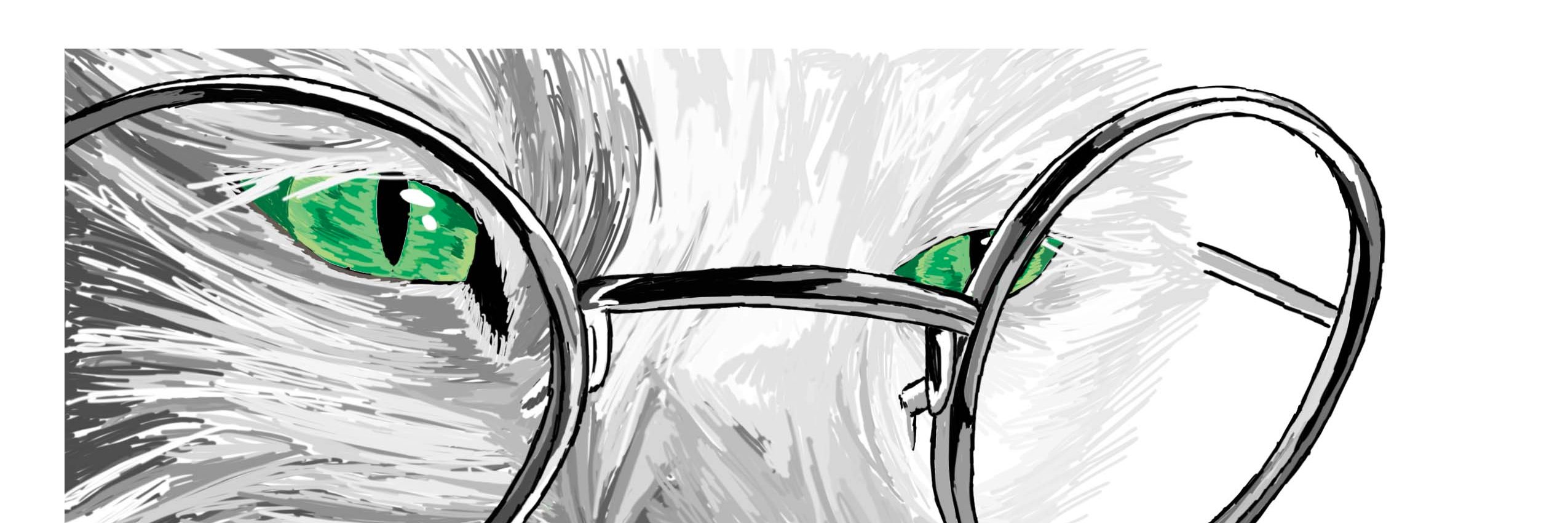 DavidMonticchio's profile banner image