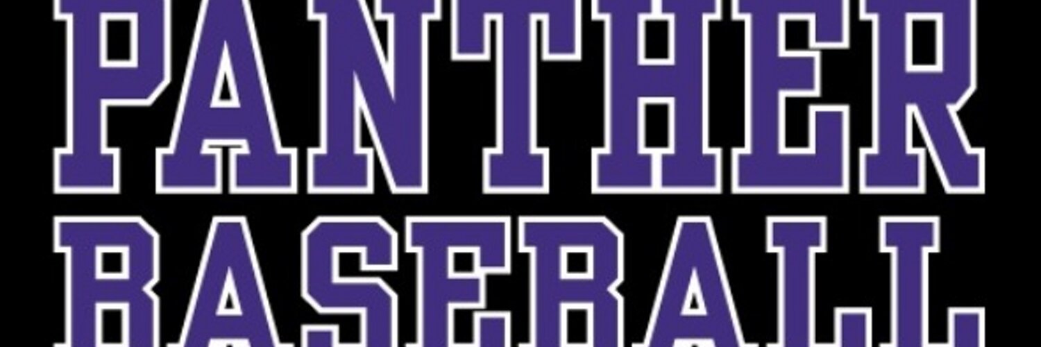 South Baseball Profile Banner