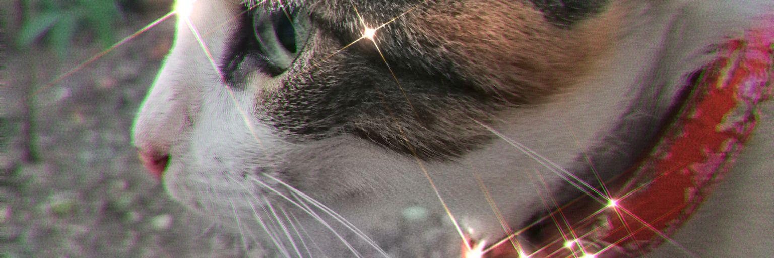 ChriCastle's profile banner image