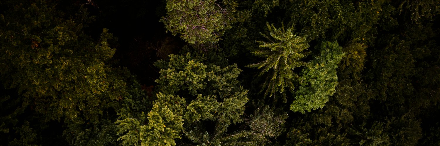 CraftAMap's profile banner image