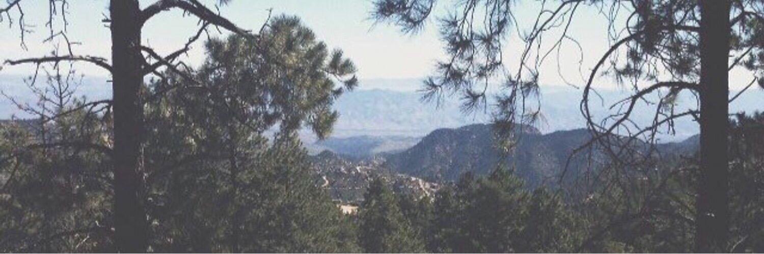 Tulsn's profile banner image