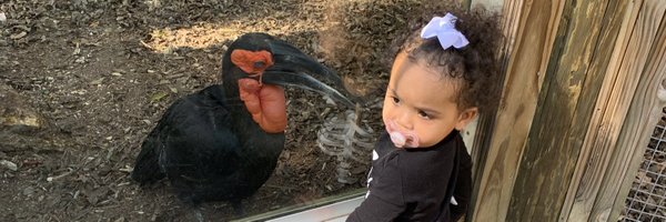 hundo100k Profile Banner