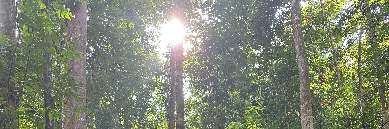 darlingtweet's profile banner image