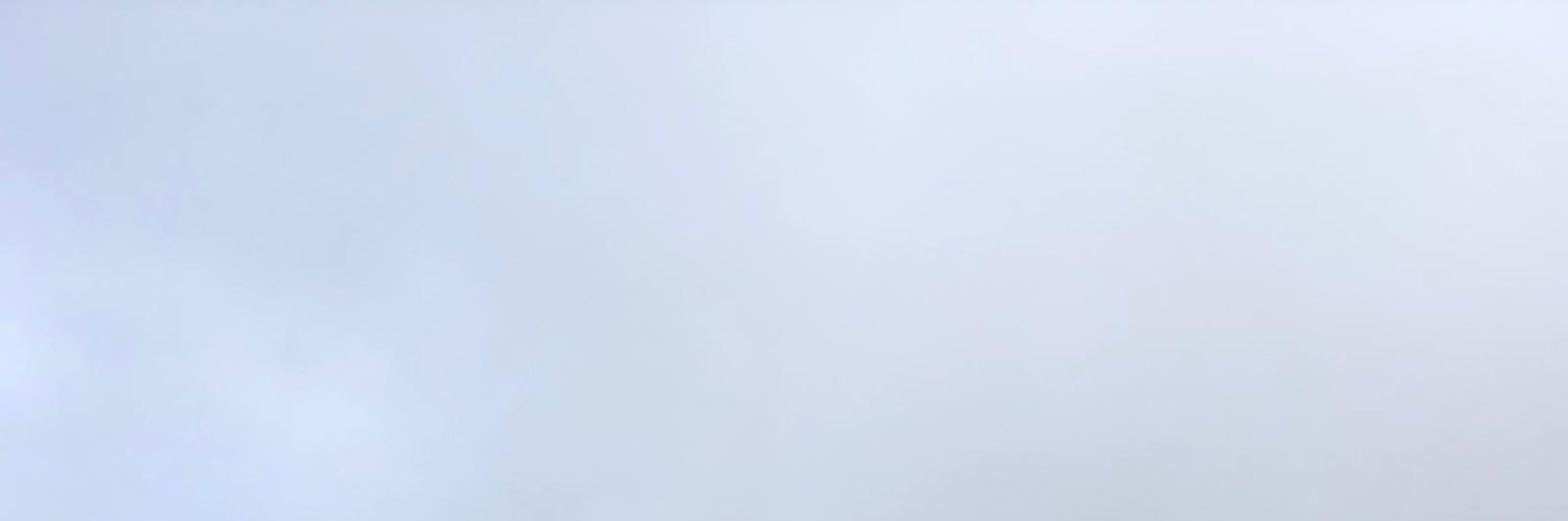 elisapiquer's profile banner image