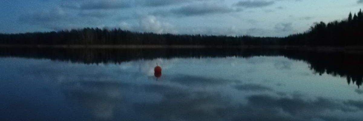 Anna Weckström banner