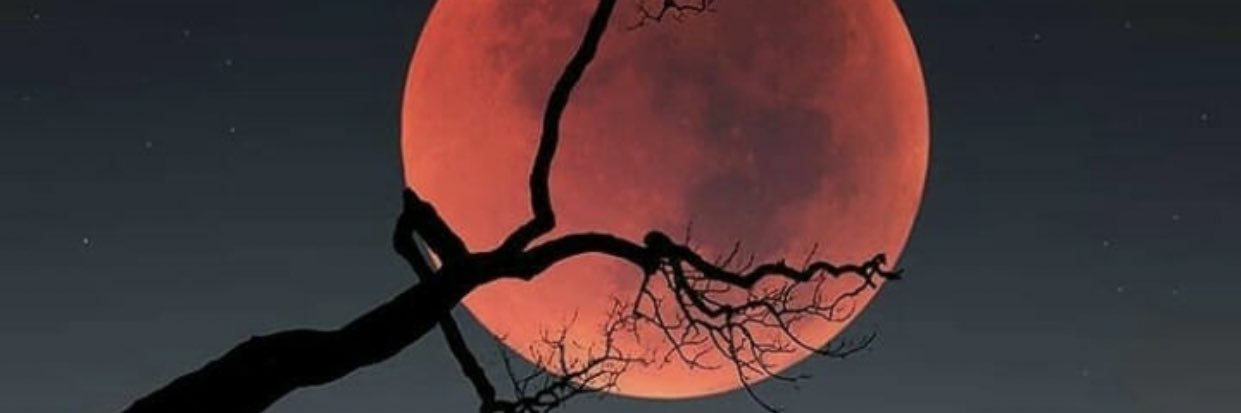 jubi_ale's profile banner image