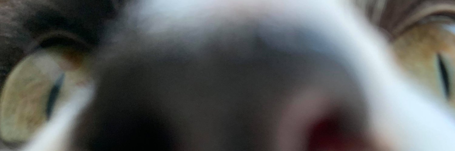 a_millman's profile banner image