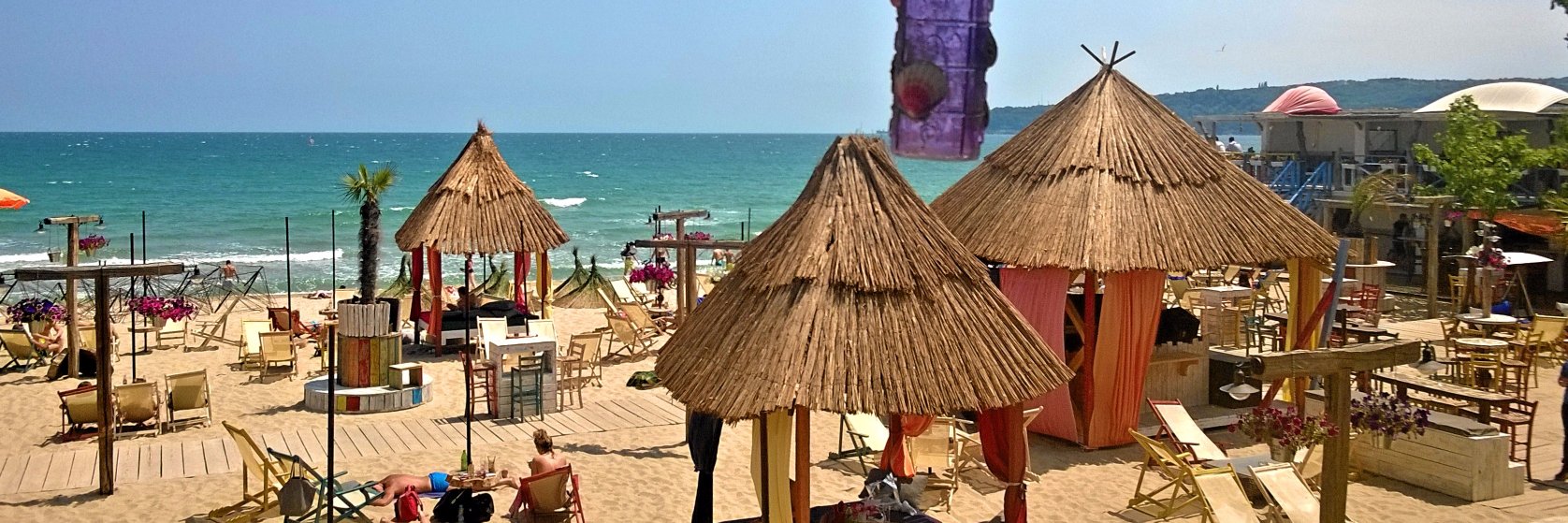 Dimana Georgieva banner