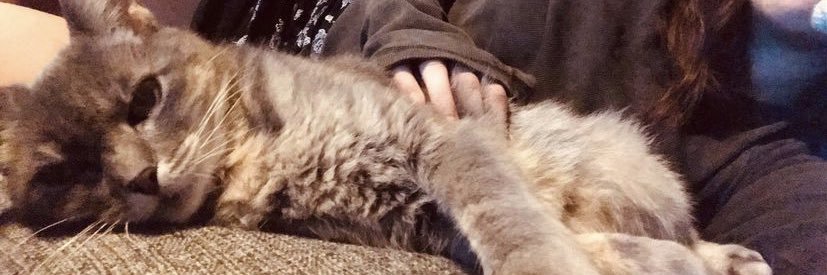 ropientuiter's profile banner image