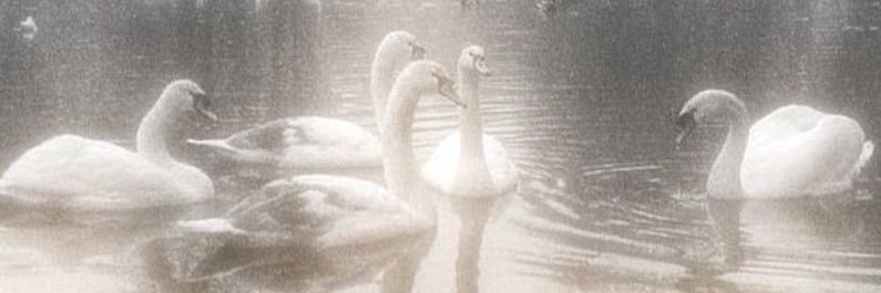 b 💋 banner
