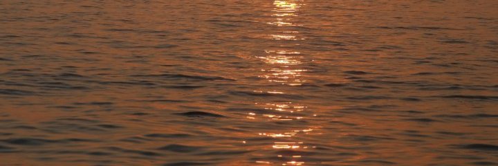 selennseyma's profile banner image
