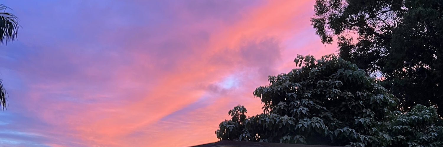 jaedenjimenez's profile banner image