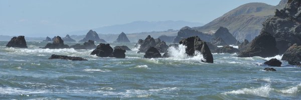FungMaxwell Profile Banner