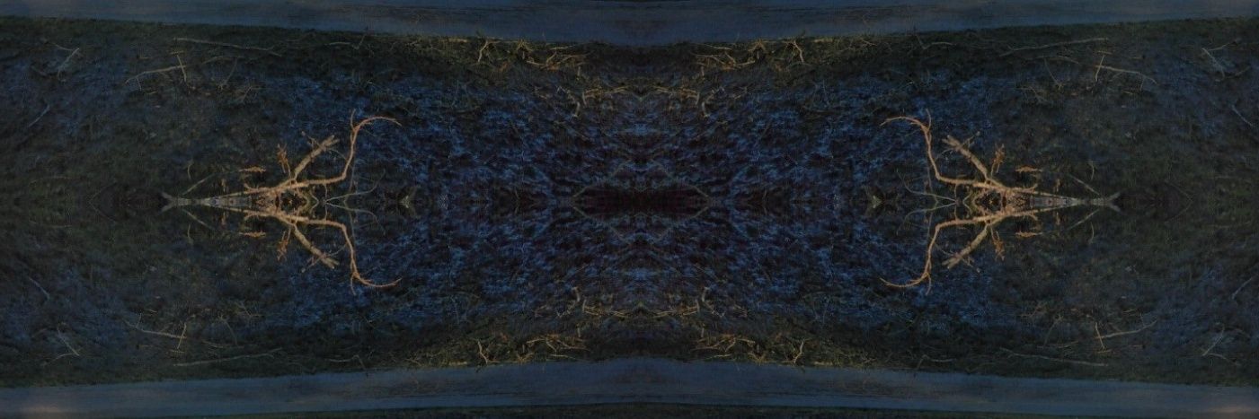 ZAwizzard's profile banner image