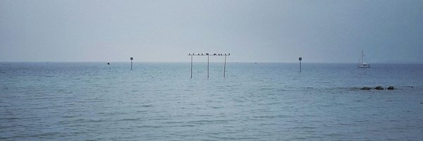 deupho Profile Banner