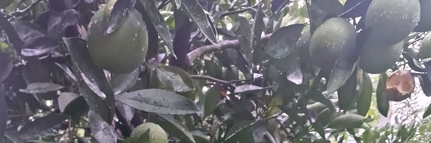 dalepincha14's profile banner image