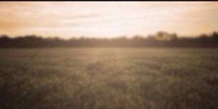 Sandraxkubicka's profile banner image