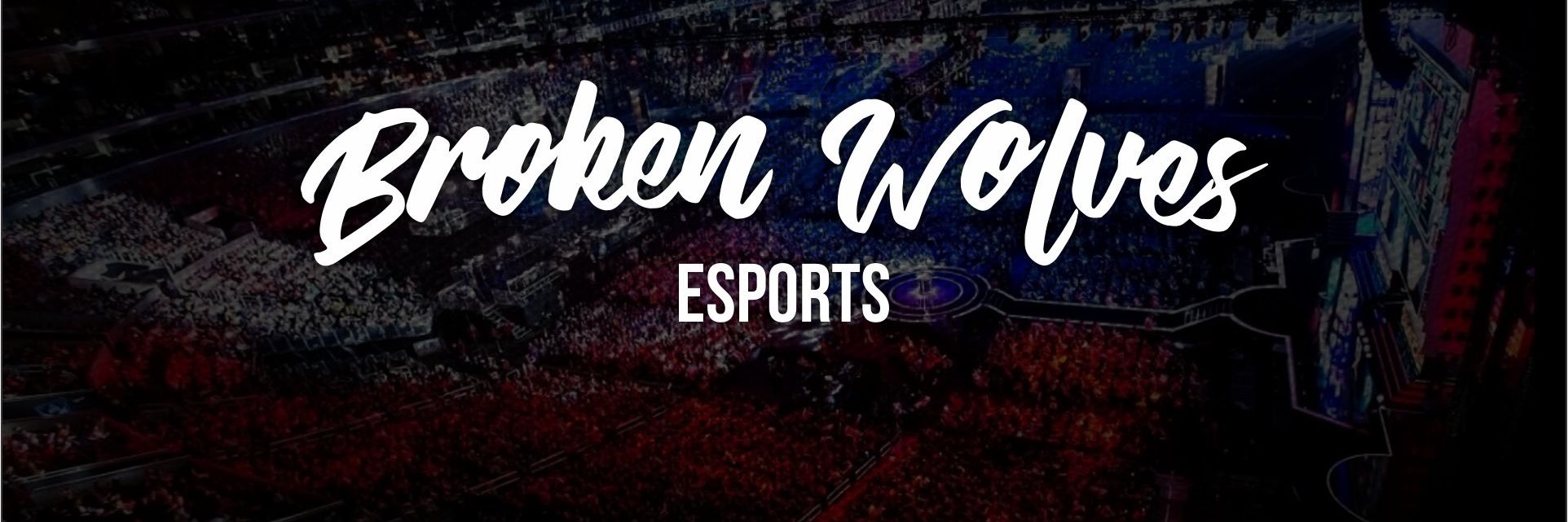 Lelentos's profile banner image