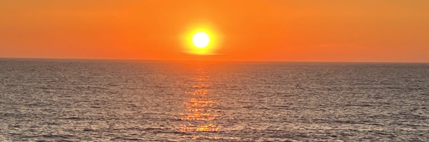 Francisco Neto banner