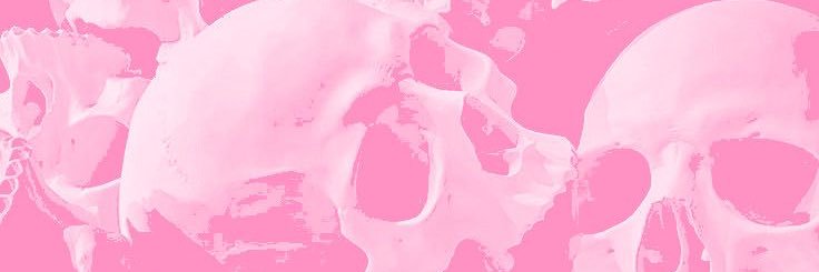 Han_paigeee's profile banner image