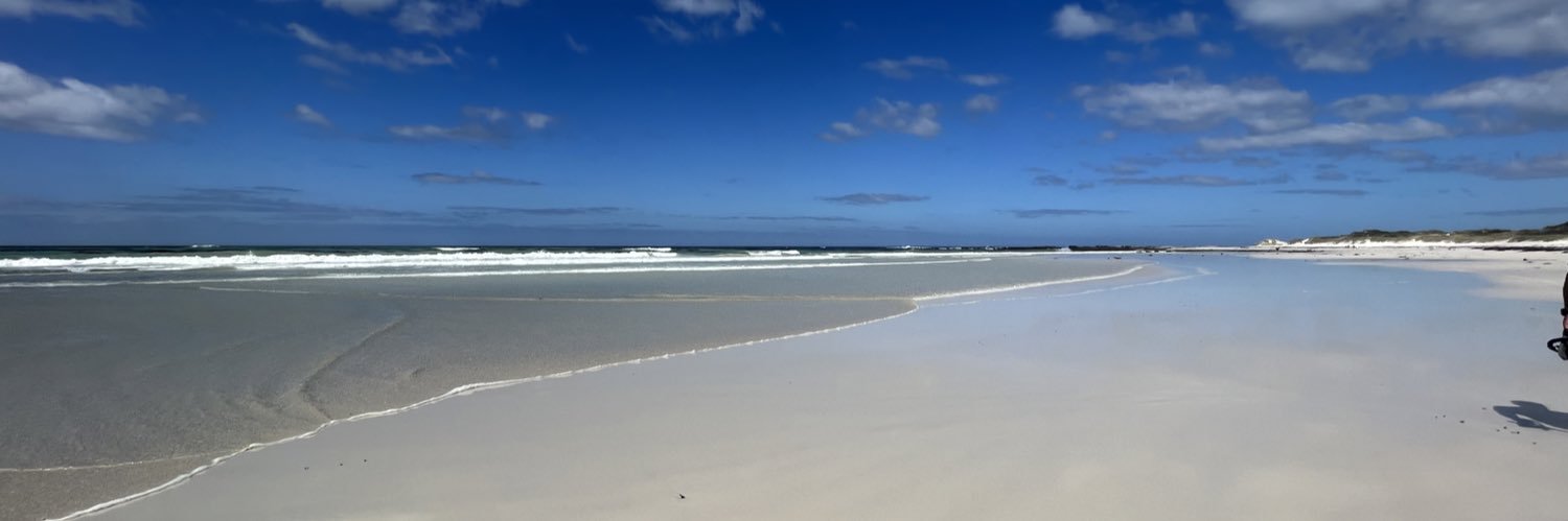 Lynn Ross banner