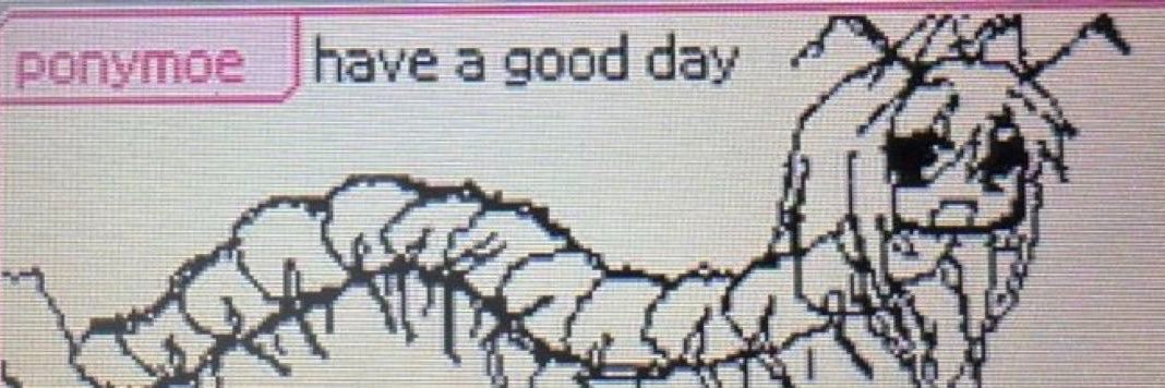 mmariaunu's profile banner image