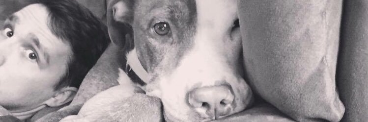 RWalkusky's profile banner image