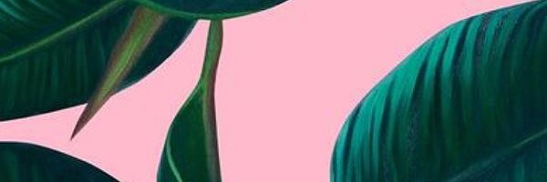 JKAren23's profile banner image