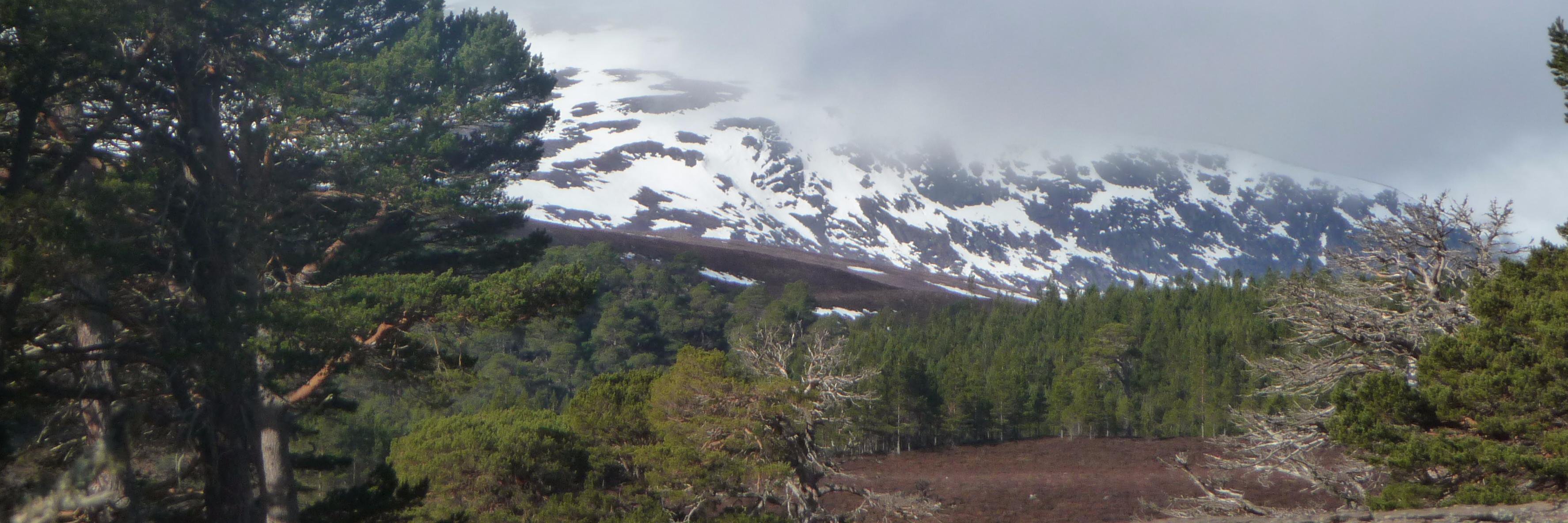 janekinson's profile banner image