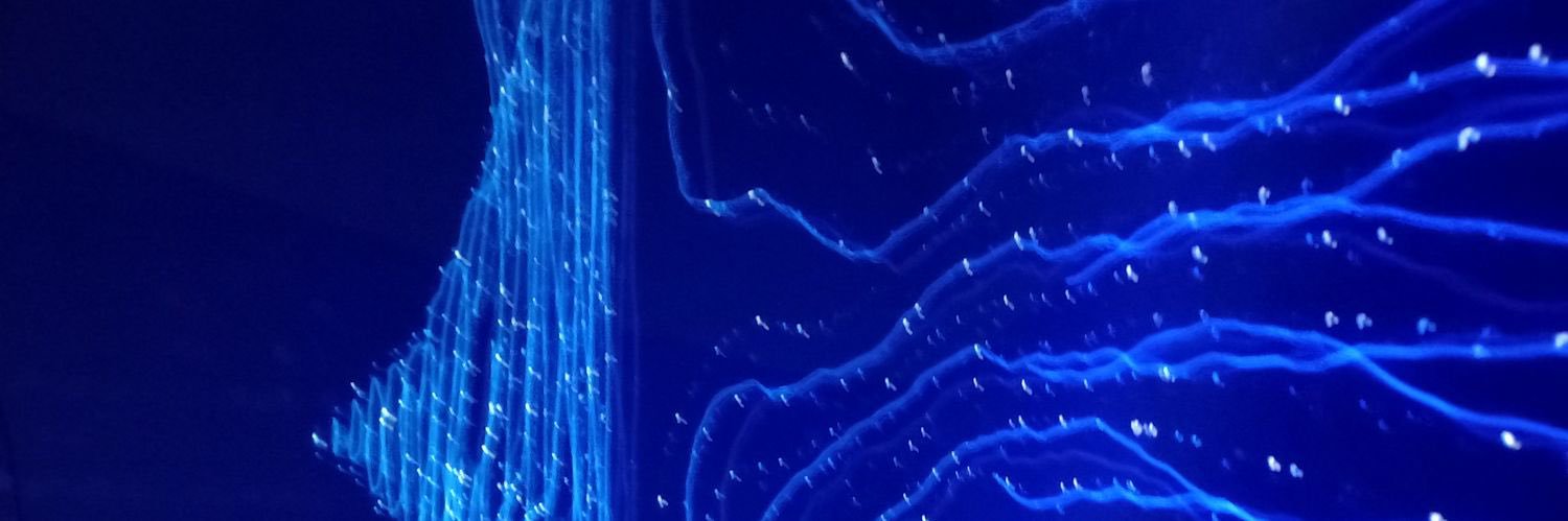 Kreytos_2001's profile banner image
