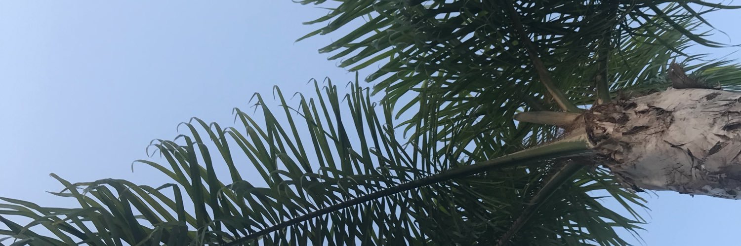 BushardSarah's profile banner image