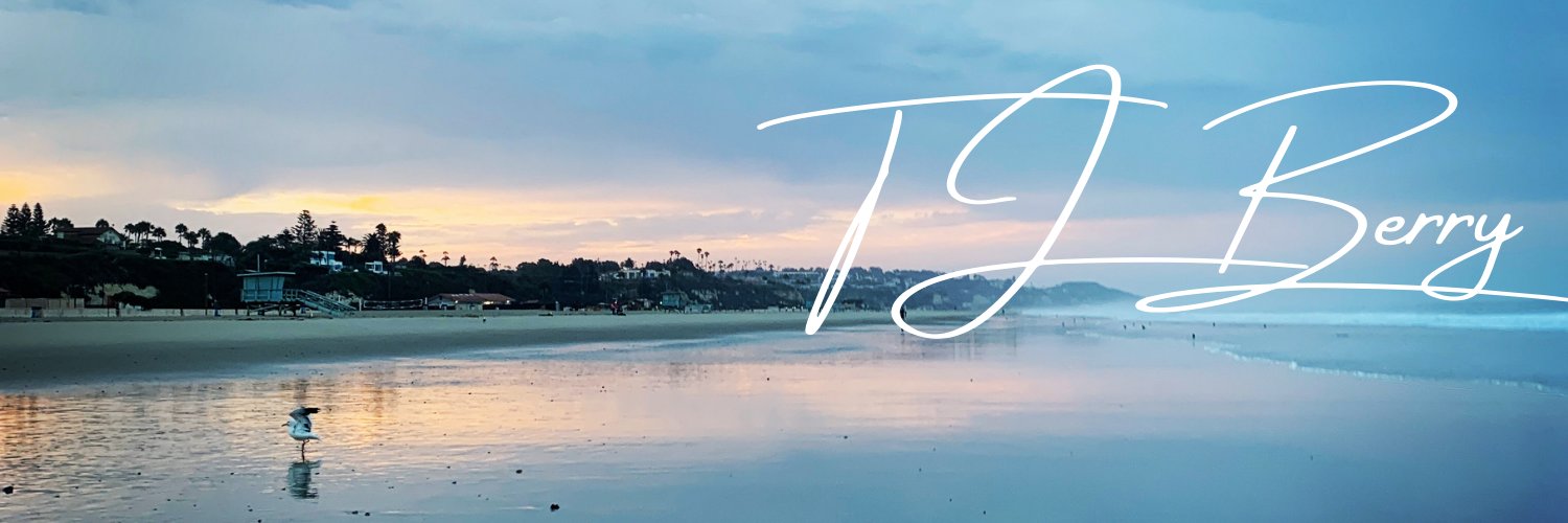 ⊰TJ Berry⊱ banner