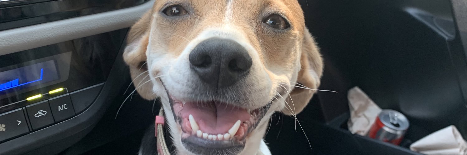 cambboua's profile banner image