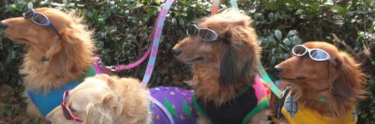 tiffs_10's profile banner image