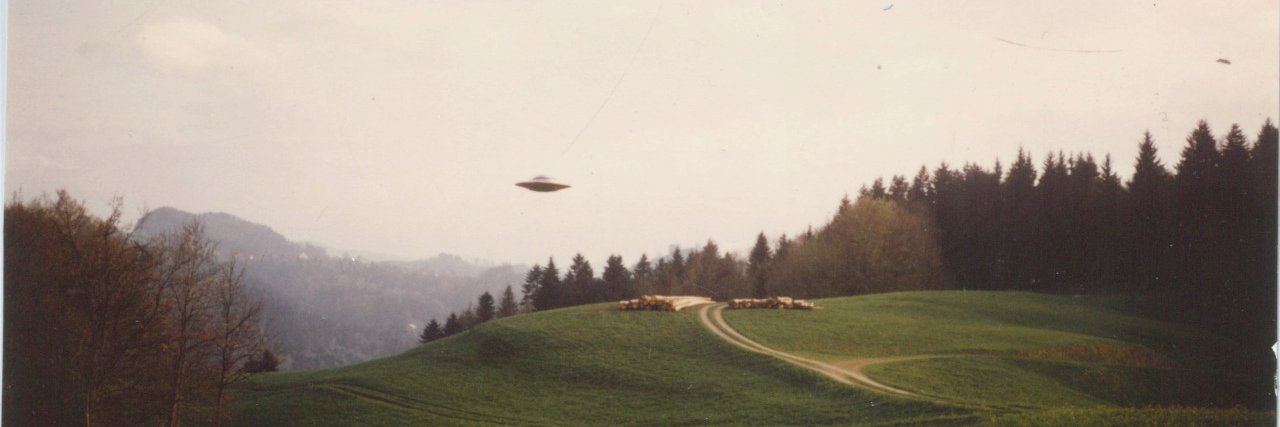 Lesley Scheuermann banner