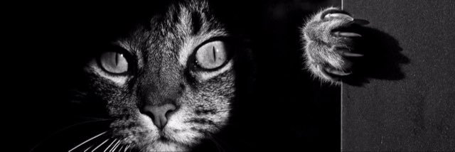 symnr__'s profile banner image